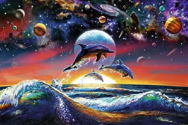 Poster - Dolphin universe Enmarcado de cuadros